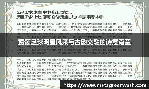 完美体育365平台官网